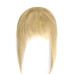 Breton cu Calota Blond Deschis