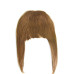 Breton cu Calota Blond Aluna