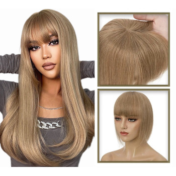 Breton cu Calota Blond Nisipiu