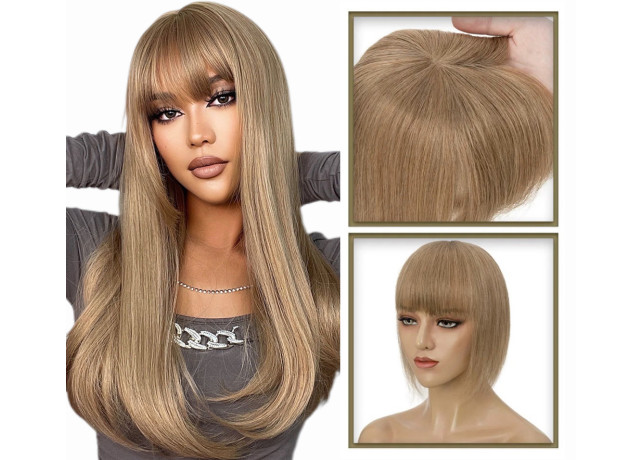 Breton cu Calota Blond Nisipiu